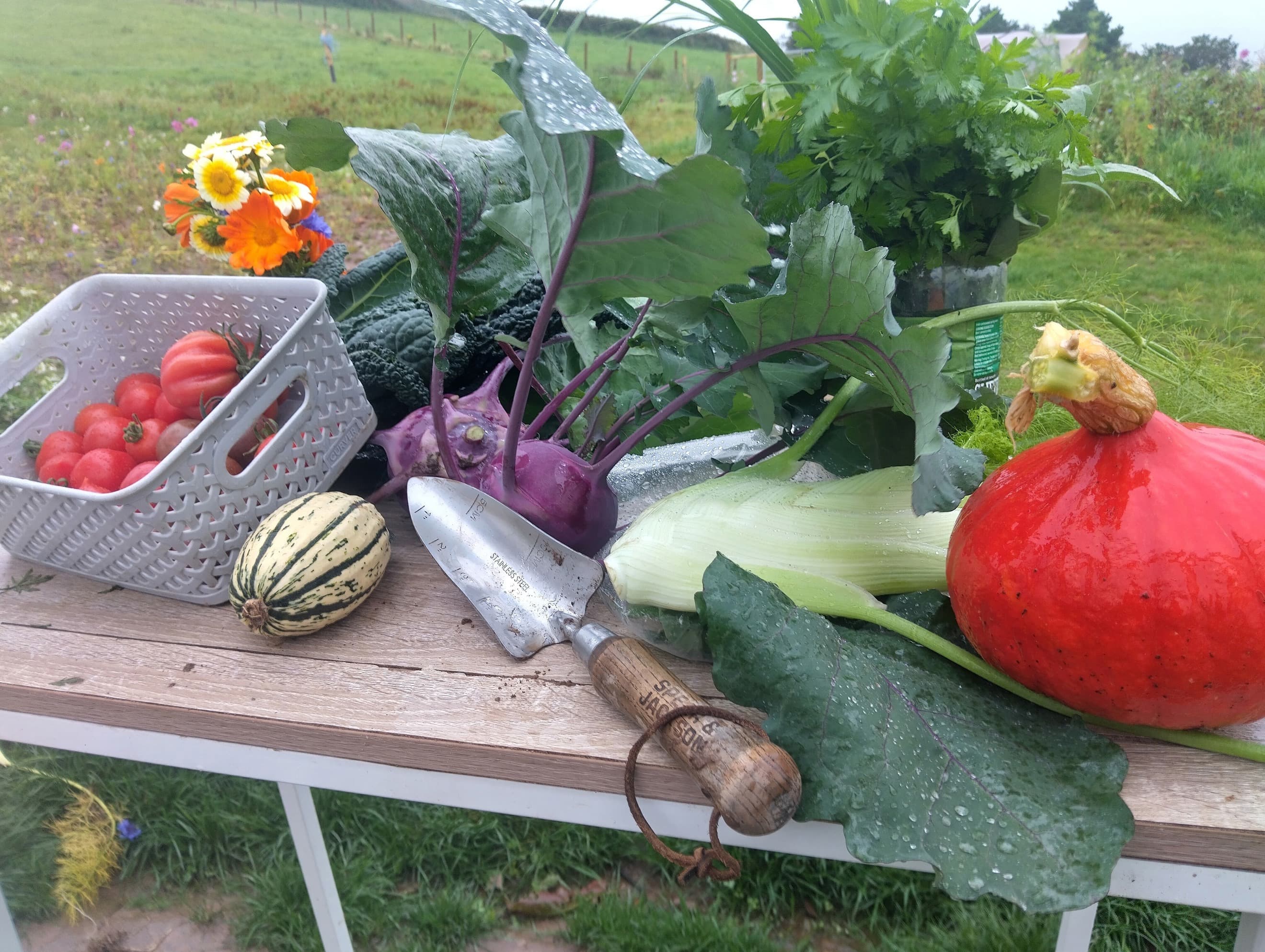 Family Fruit and Veg Box