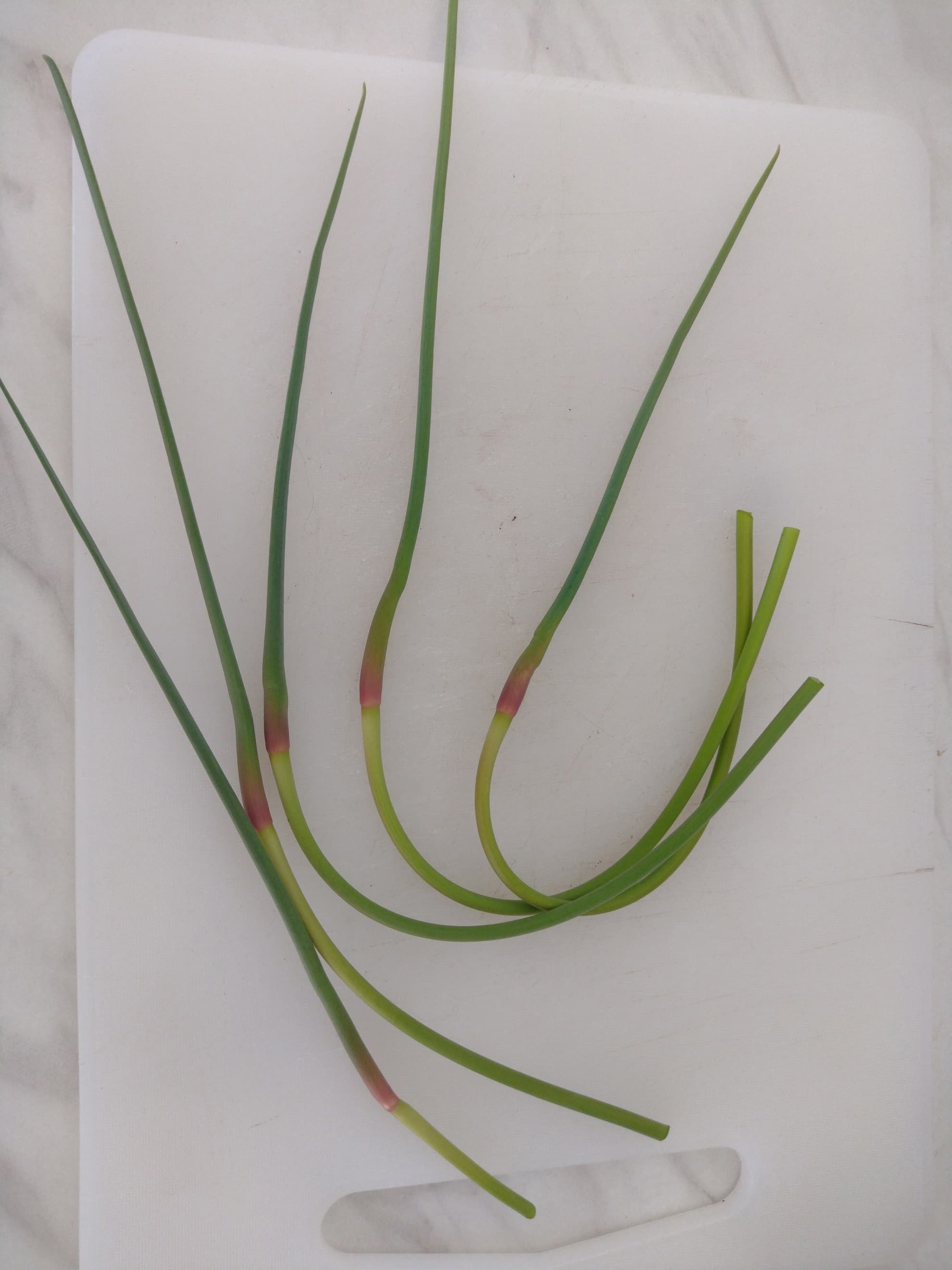 Garlic scapes