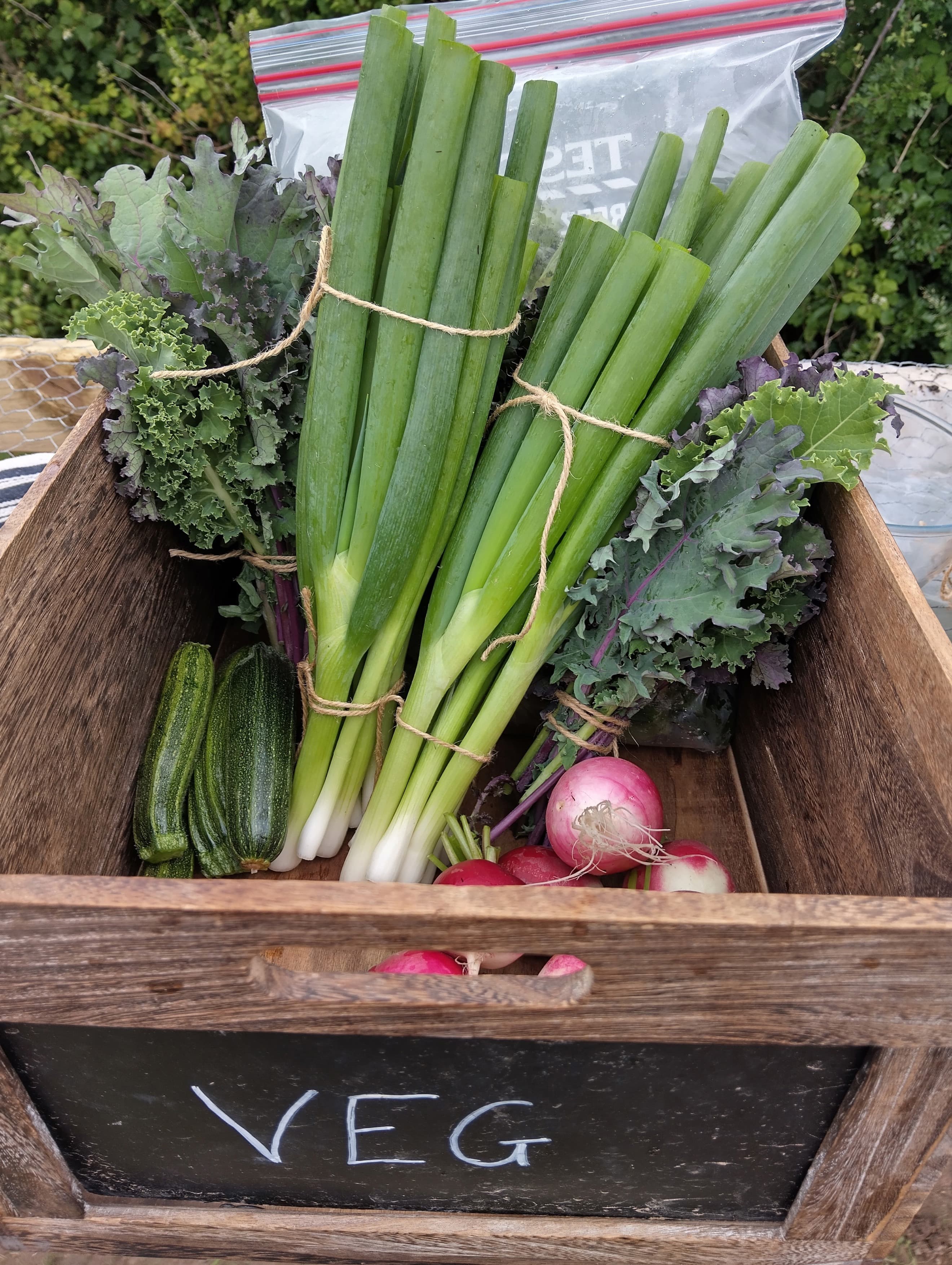 Small Fruit and Veg Box